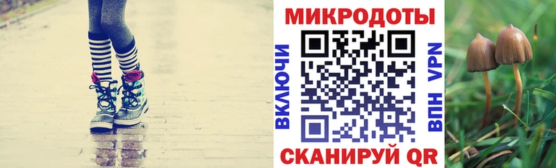 Галлюциногенные грибы MAGIC MUSHROOMS  Таганрог 